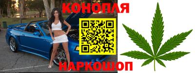 альфа пвп Заволжье
