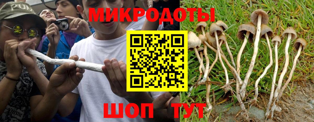 где найти   Галлюциногенные грибы Psilocybe  Вход с VPN  Мичуринск  Галлюциногенные грибы Psilocybine cubensis 